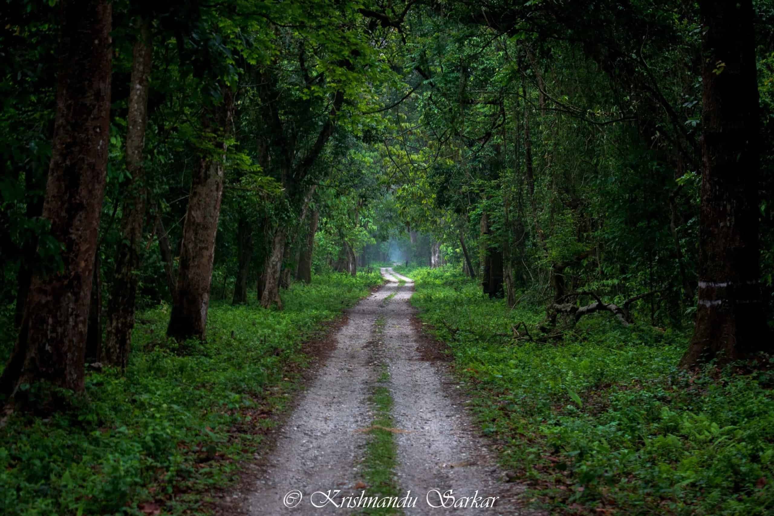 Dooars Wildlife Safari